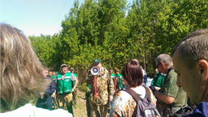 День посадки леса в Хабаровском крае